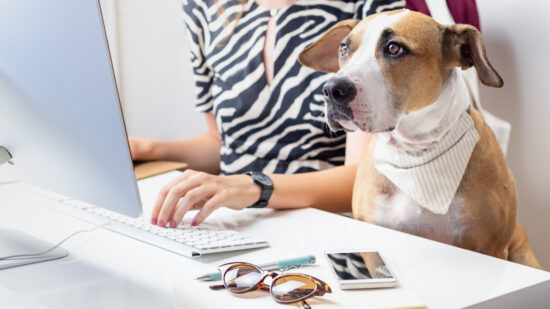 Is the Office Going to the Dogs? “Ruff” Questions on Service and Emotional Support Animals