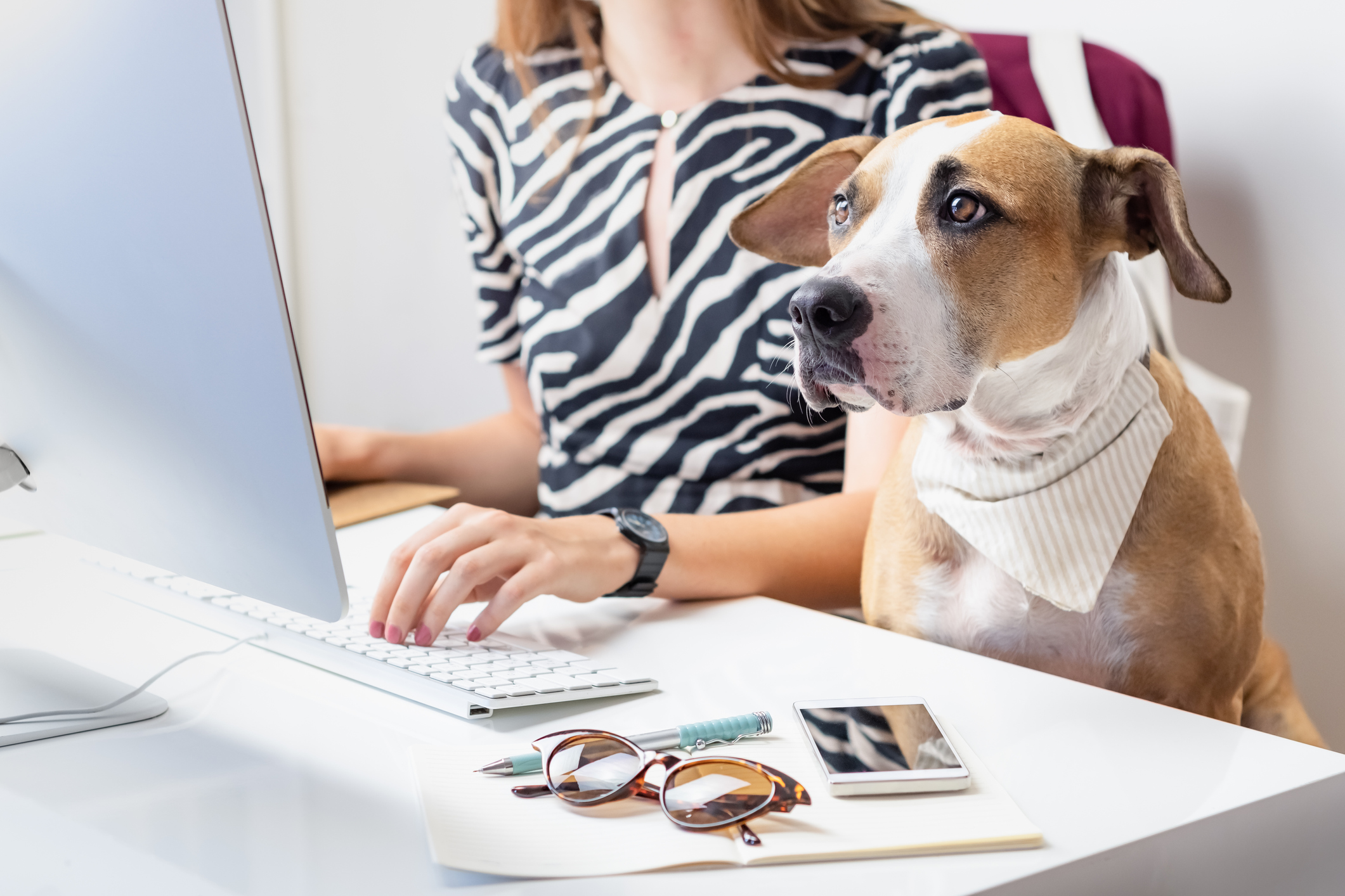 Emotional support dog sales in medical office